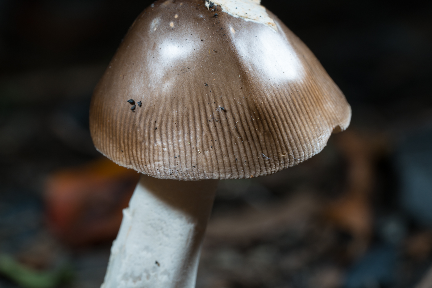 YDY06255.jpg