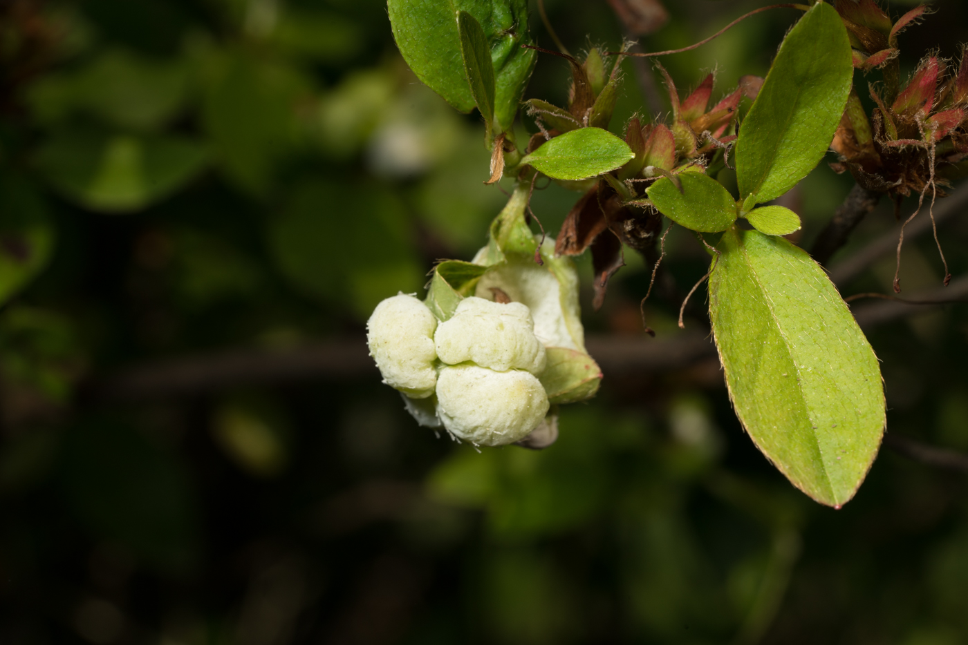 YDY07930.jpg