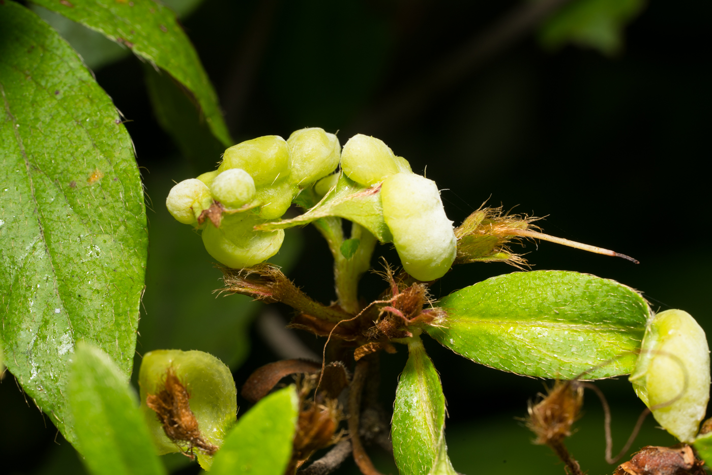 YDY07917.jpg