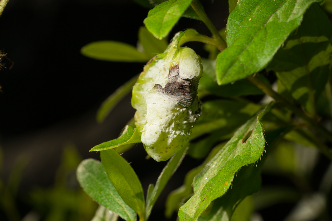YDY07921.jpg