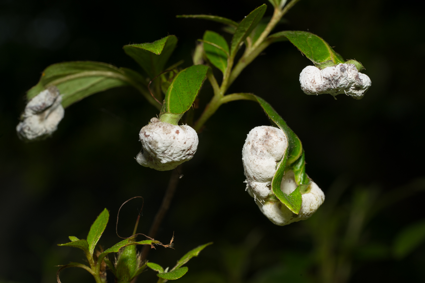 YDY07918.jpg