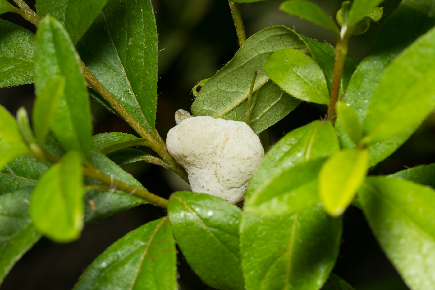 YDY07925.jpg