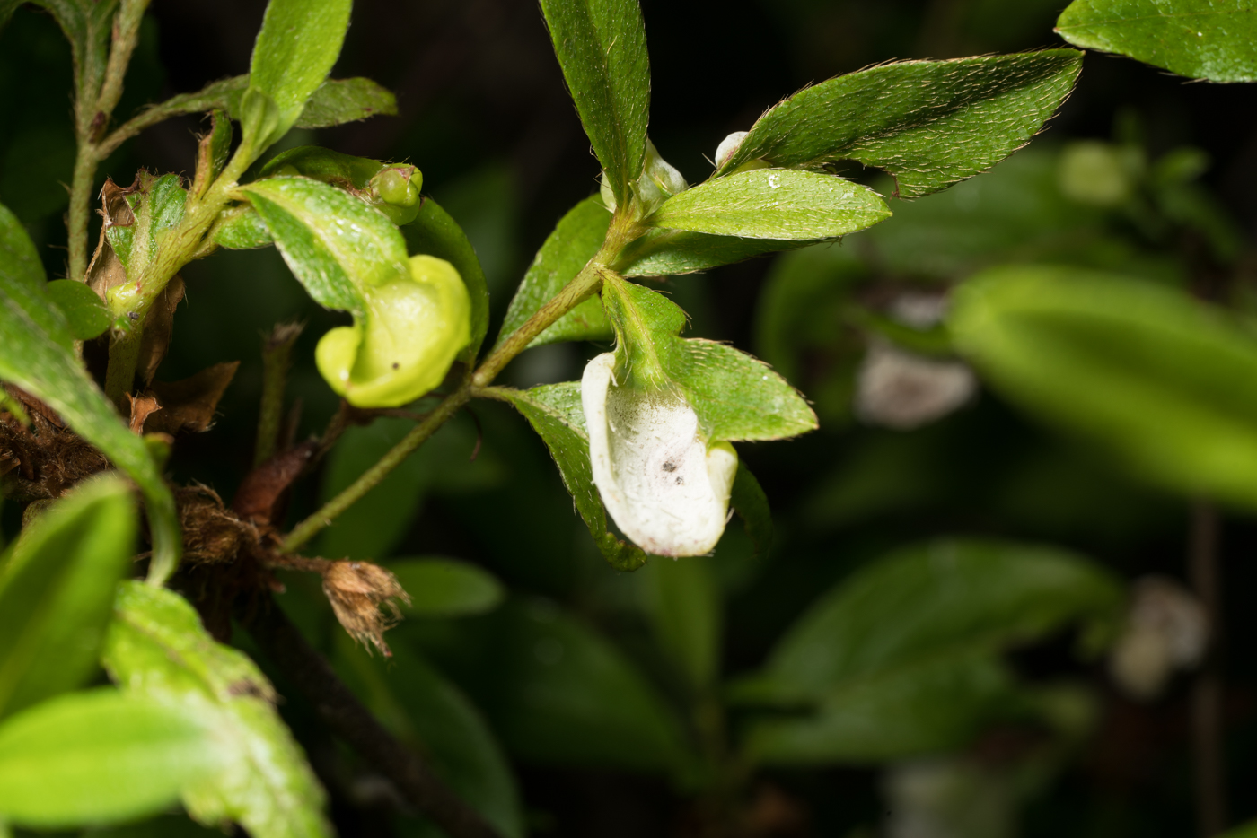 YDY07919.jpg