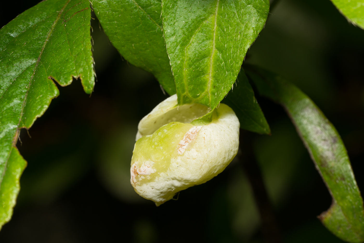 YDY07924.jpg