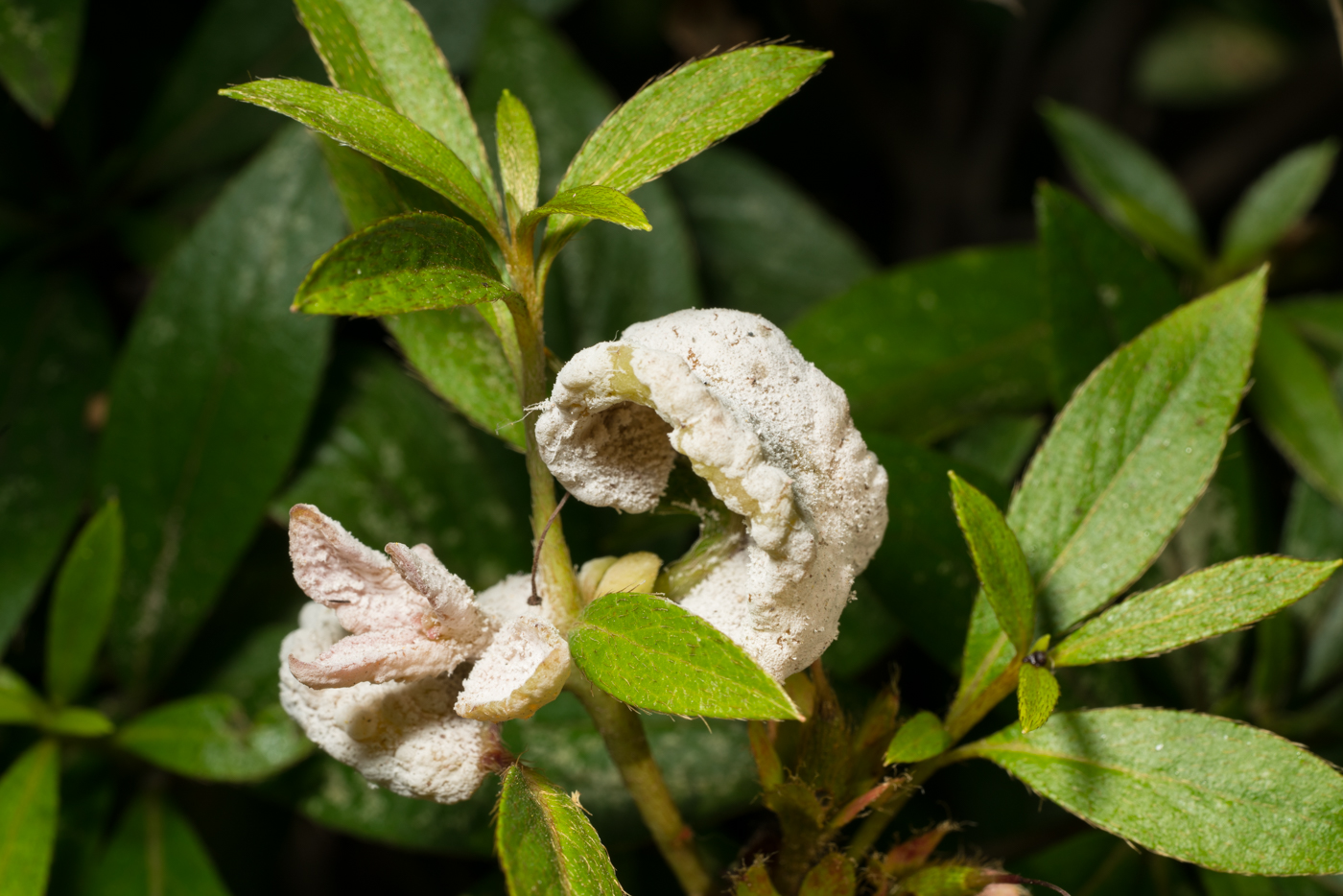 YDY07929.jpg