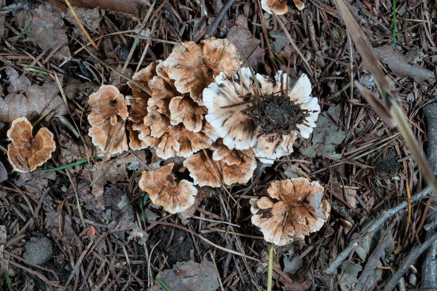 YDY06275.jpg