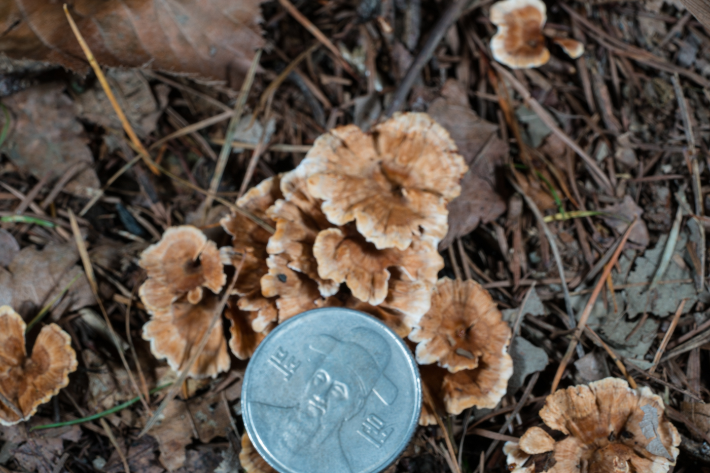 YDY06273.jpg
