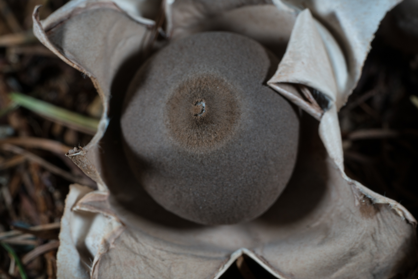 YDY06283.jpg