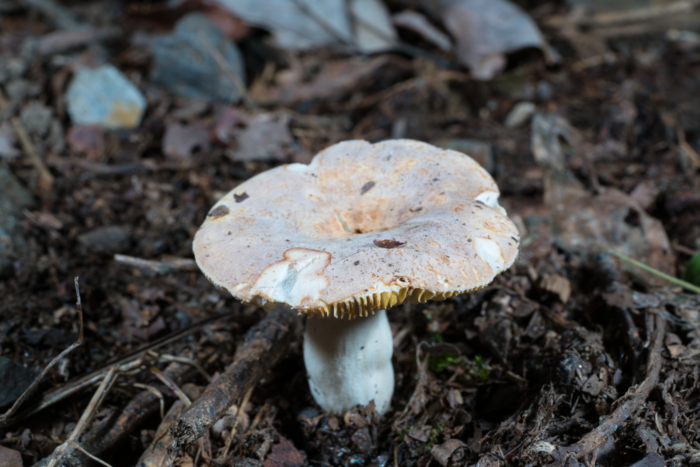 YDY06302.jpg