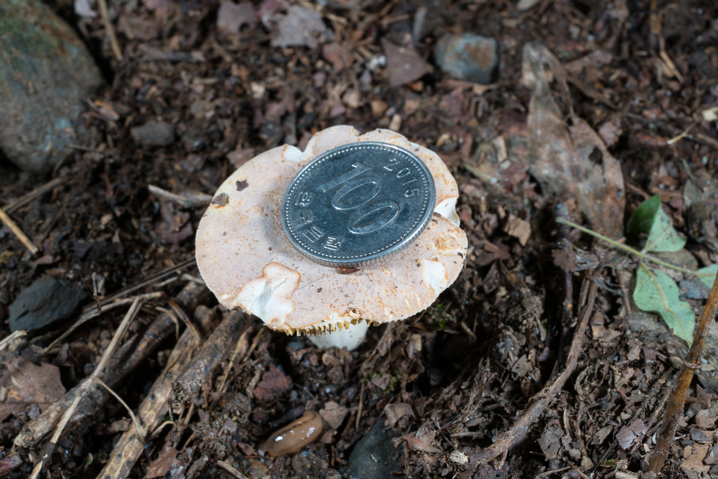 YDY06304.jpg