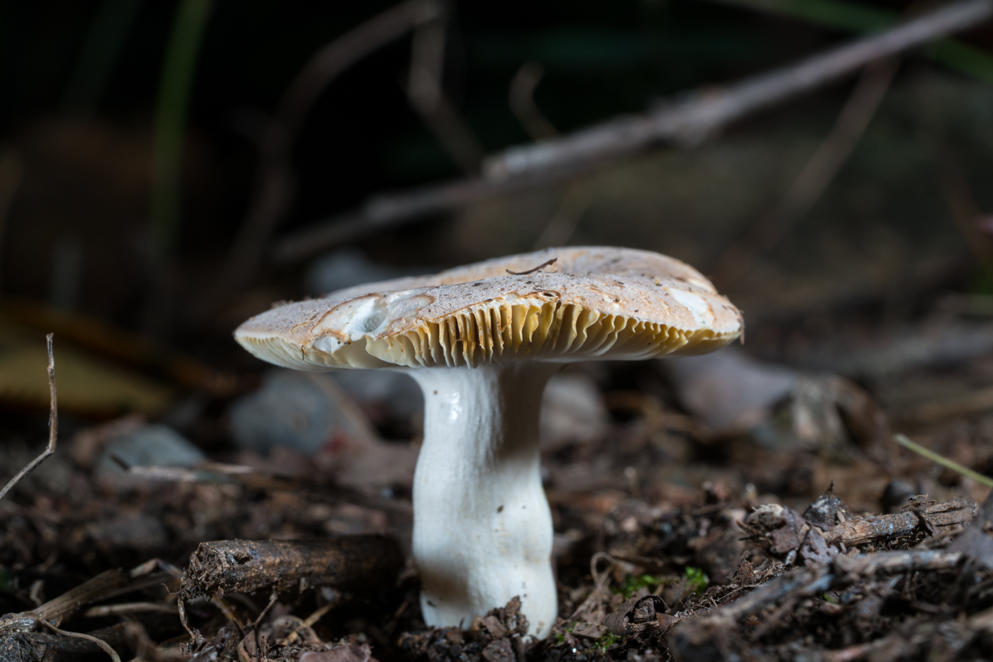 YDY06306.jpg