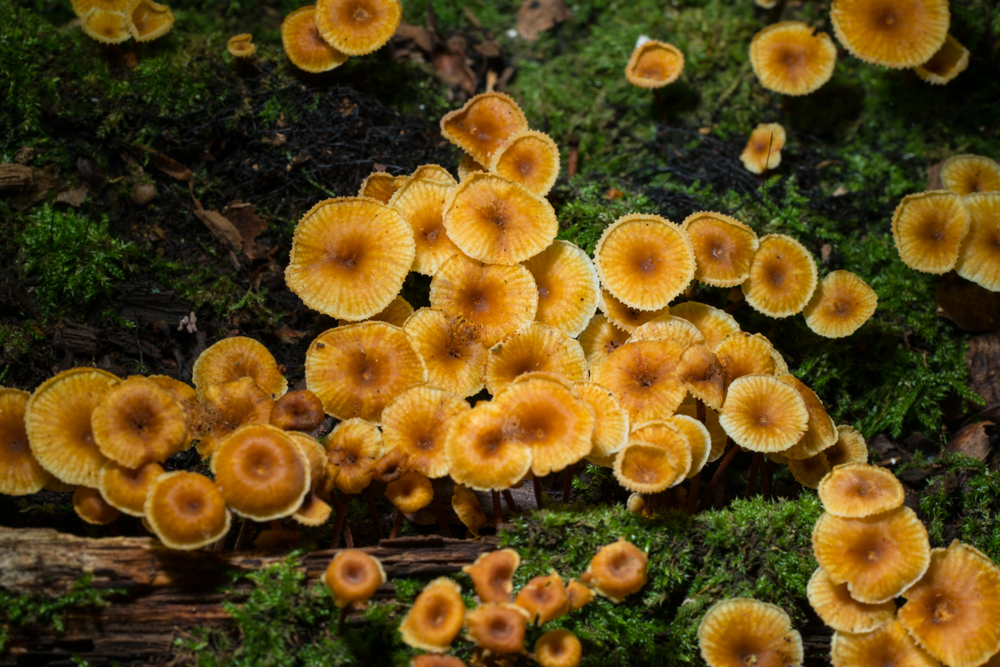 YDY03202.jpg