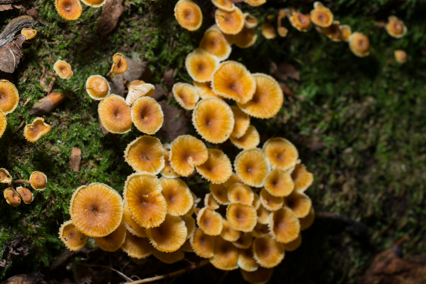 YDY03204.jpg