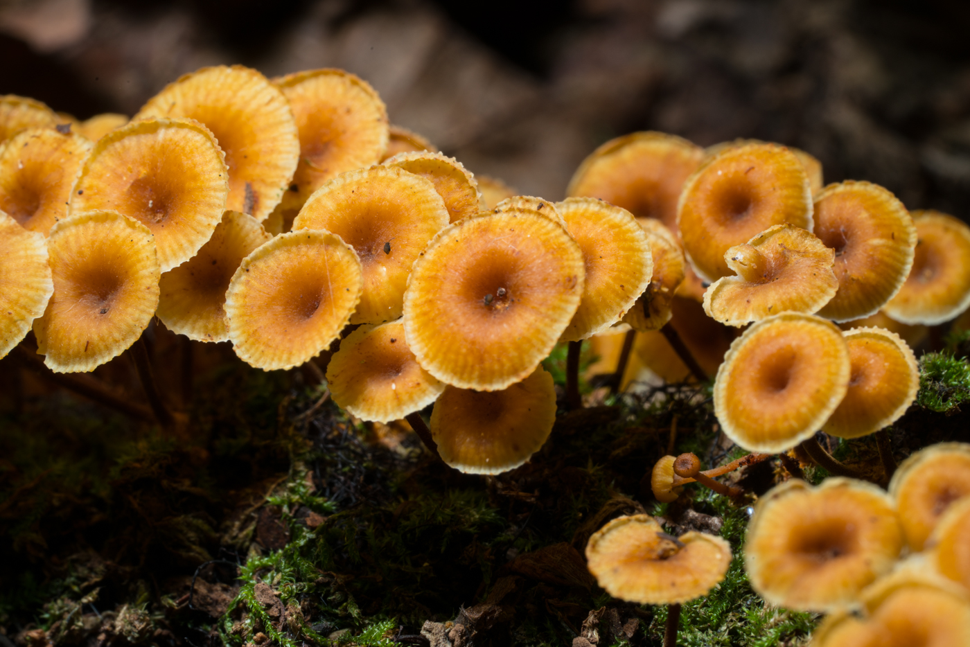 YDY03205.jpg