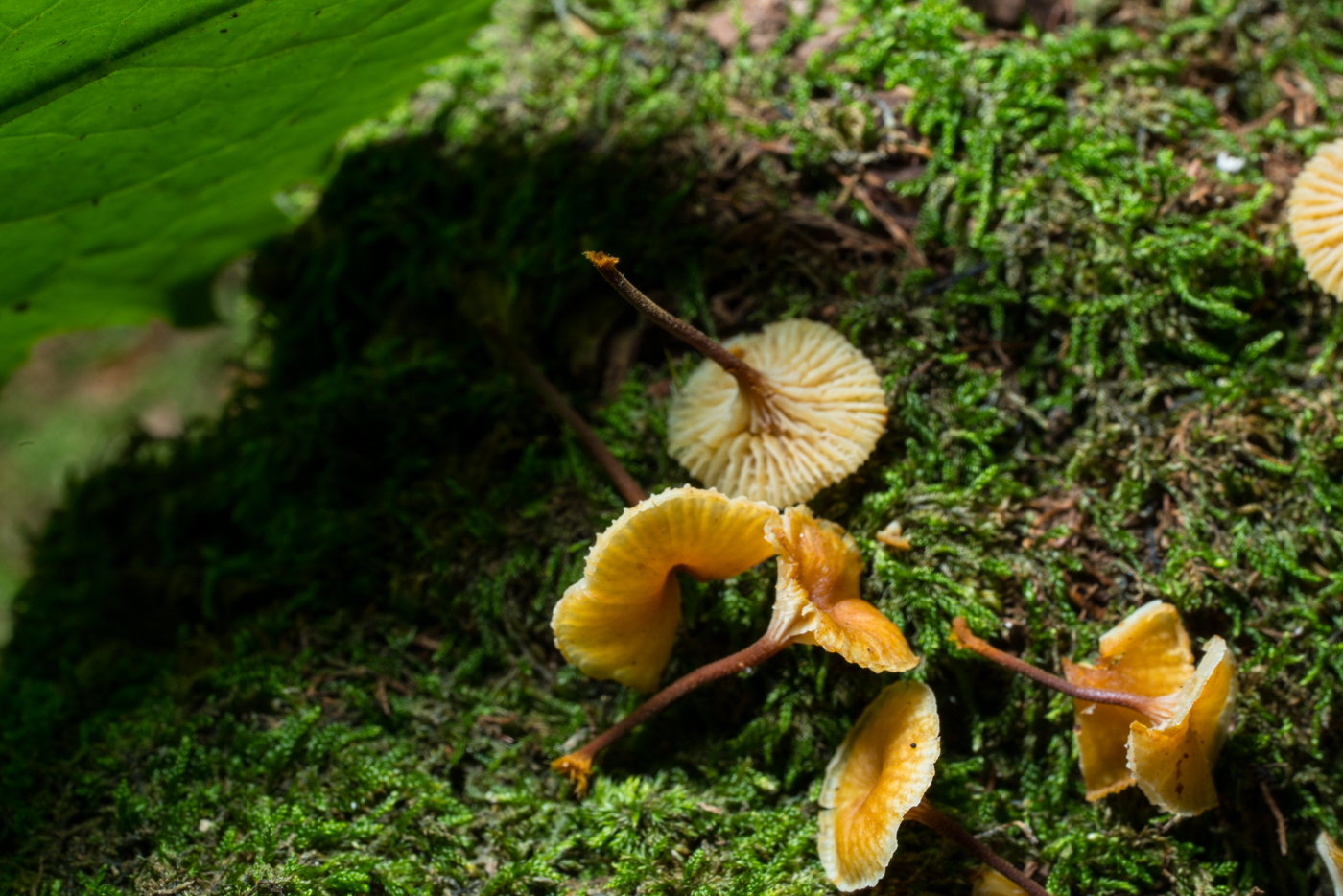 YDY03207.jpg
