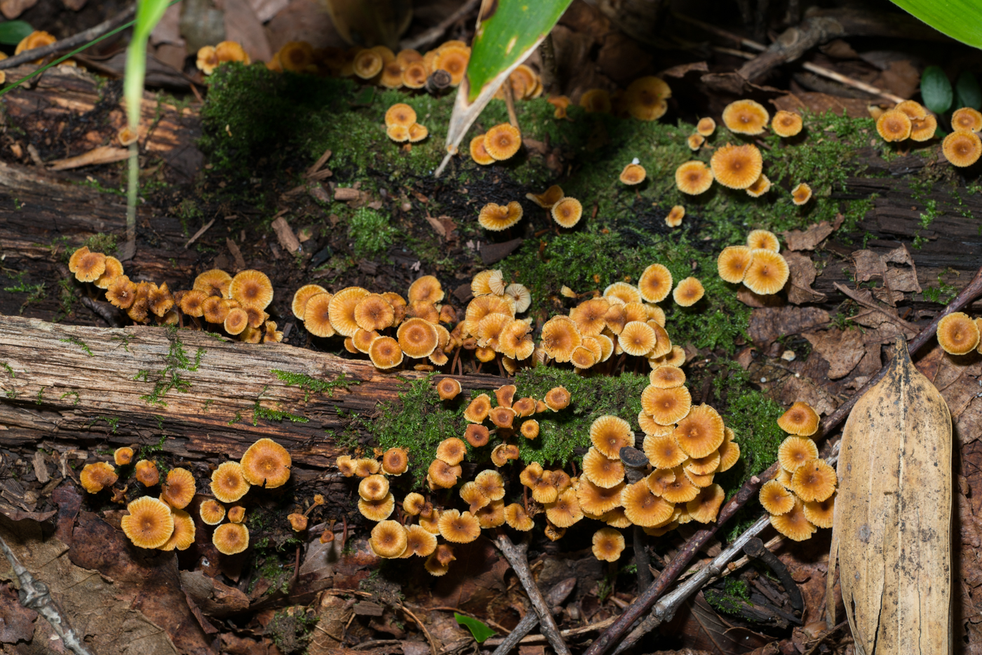 YDY03214.jpg