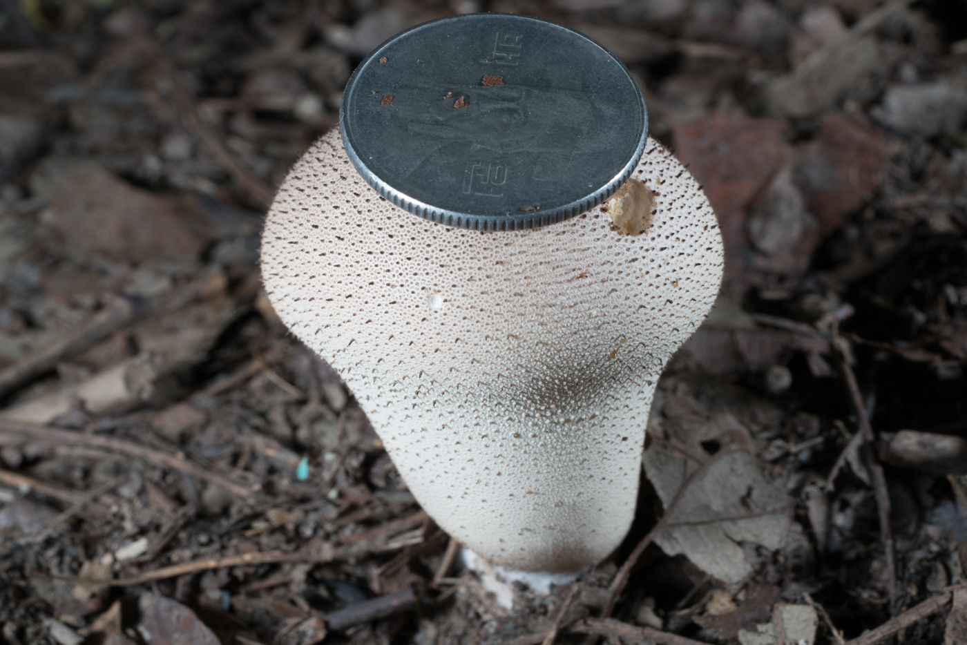 YDY06337.jpg