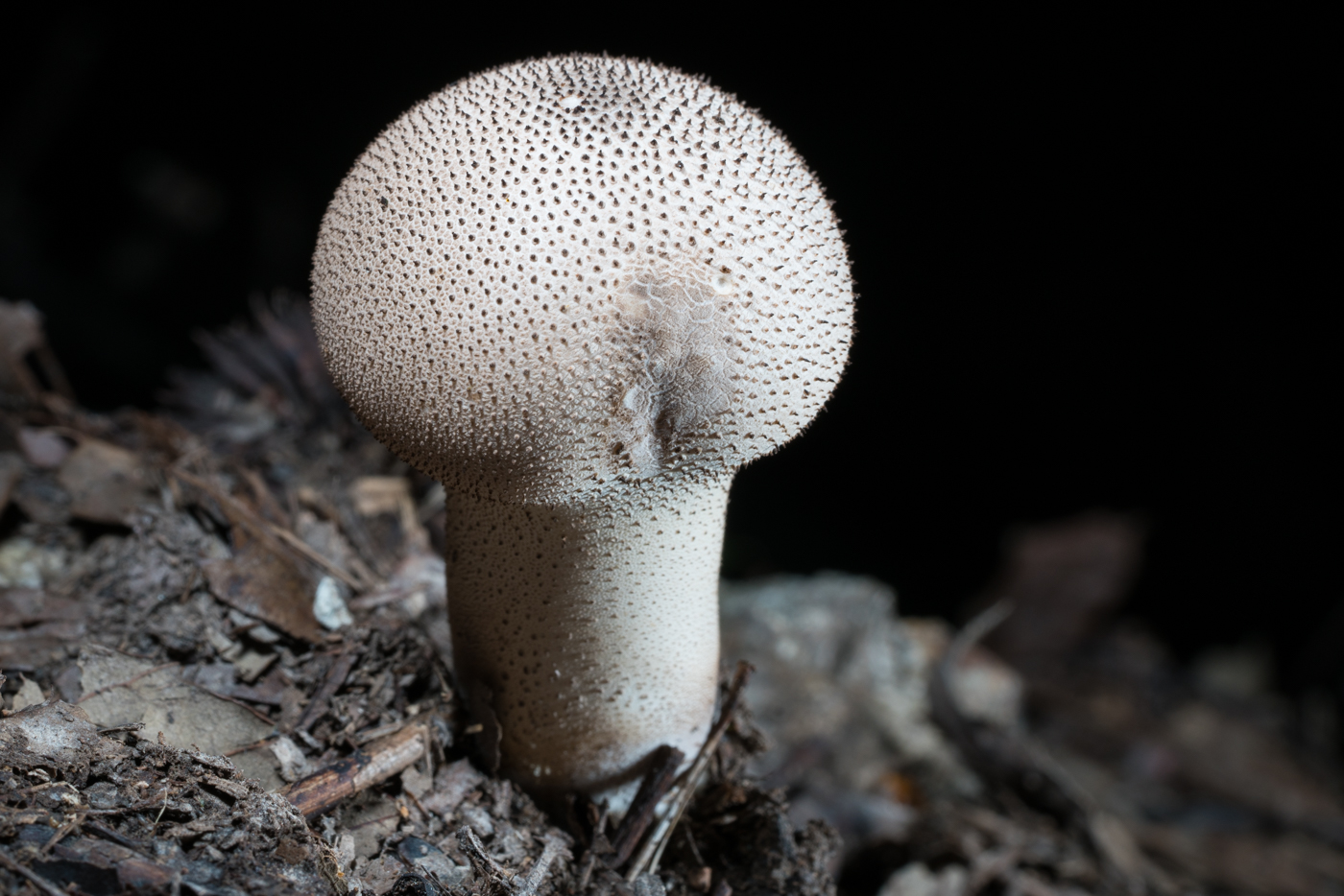 YDY06347.jpg