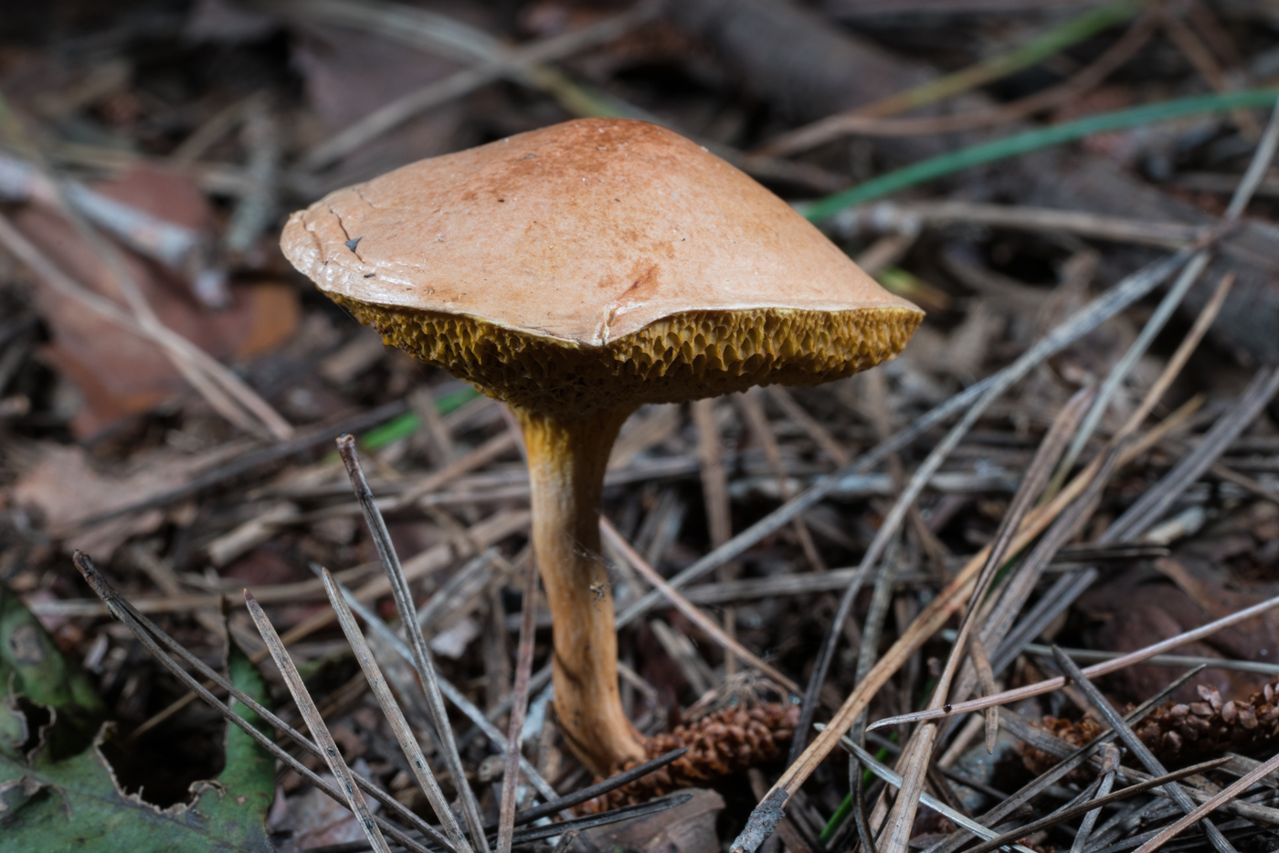 09831dde4a1884da03acaea84e7248c3.jpg