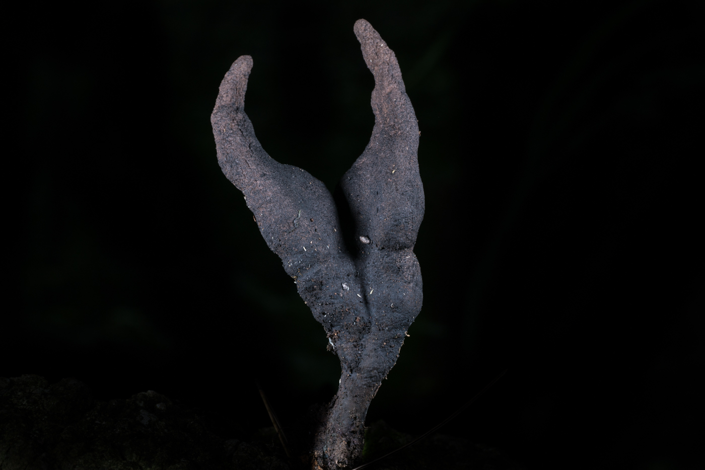YDY06399.jpg