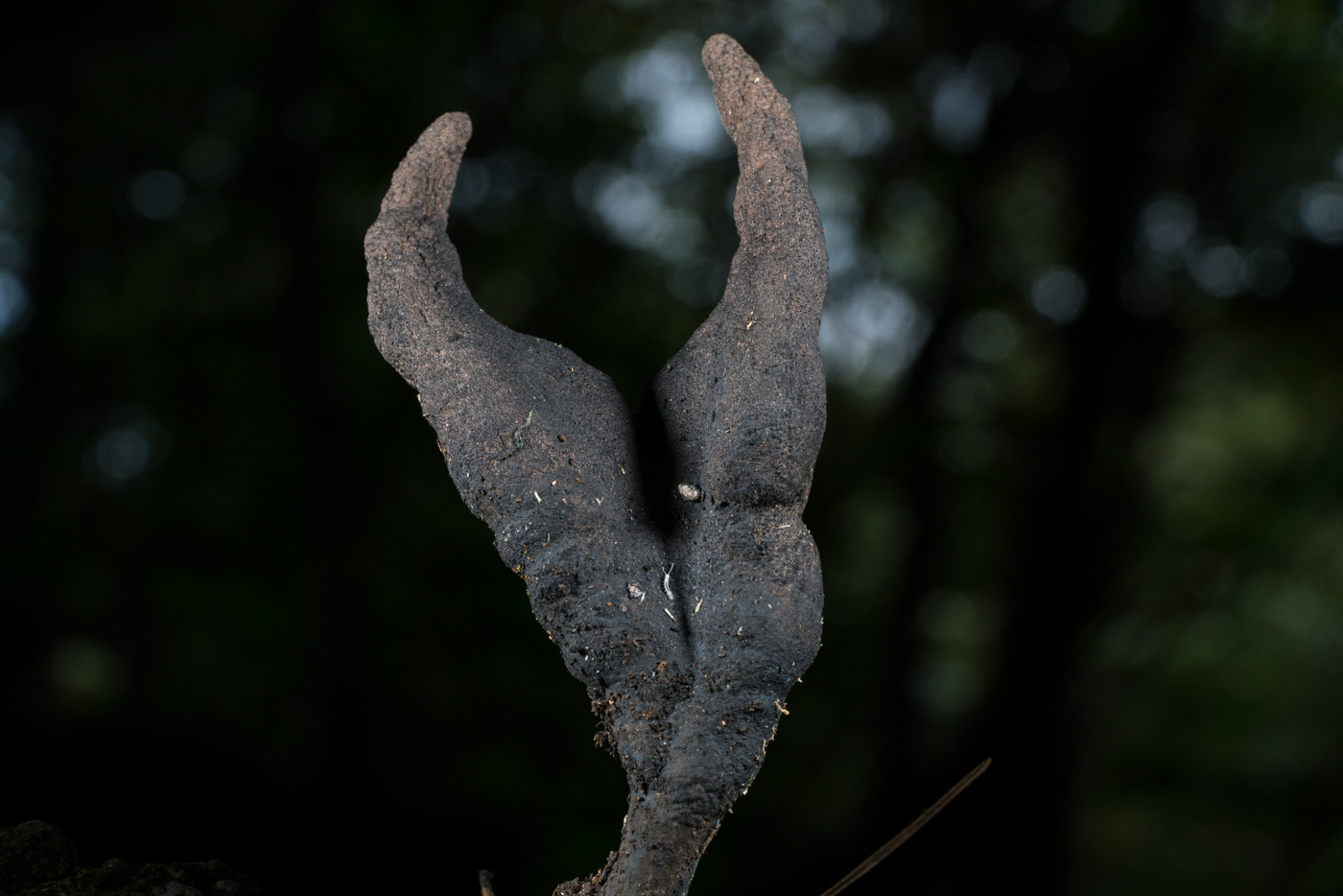 YDY06391.jpg