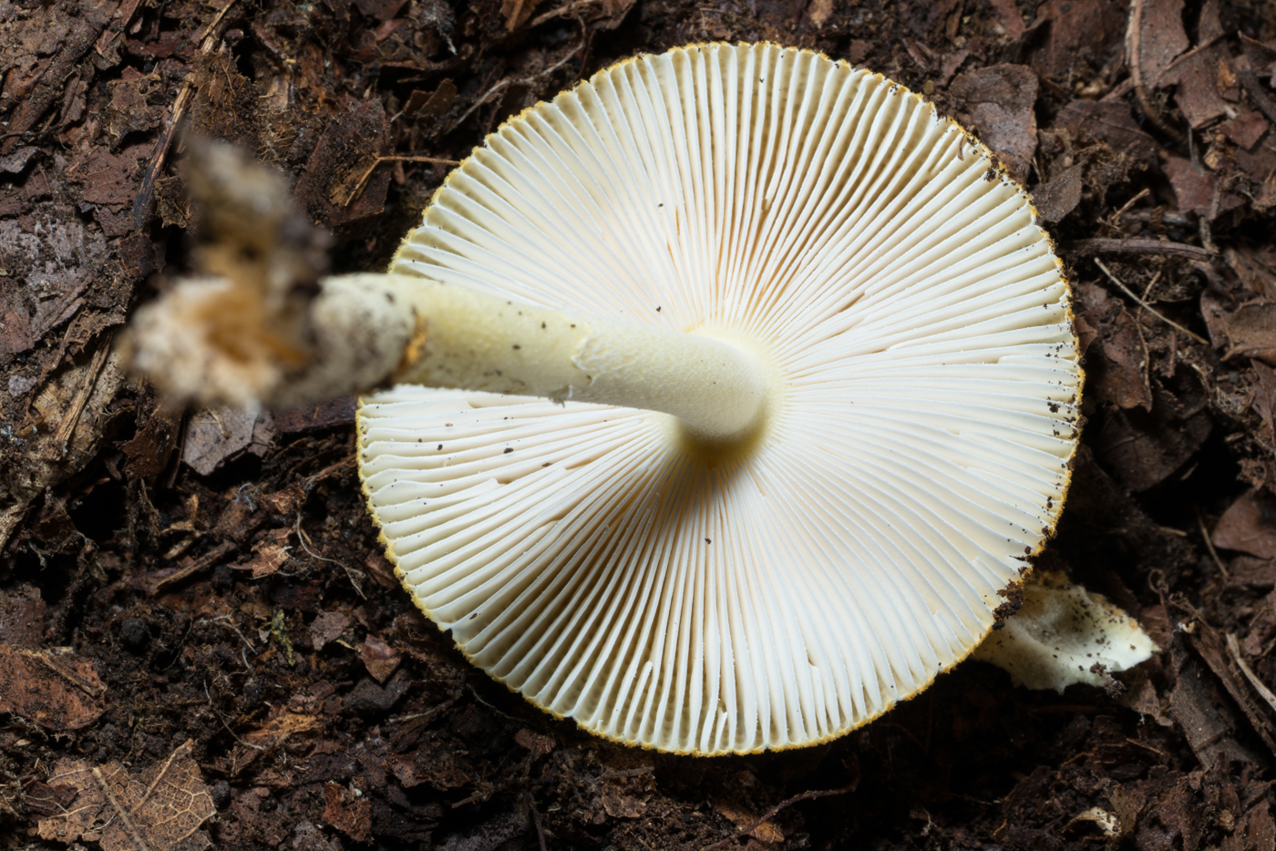 YDY03270.jpg