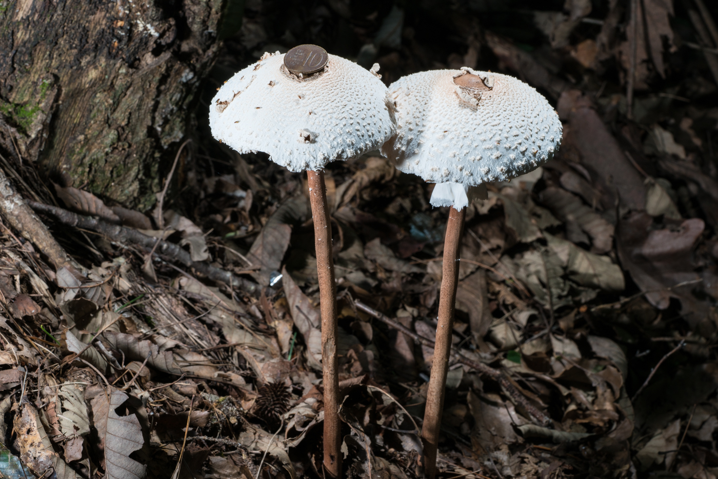 YDY05353.jpg