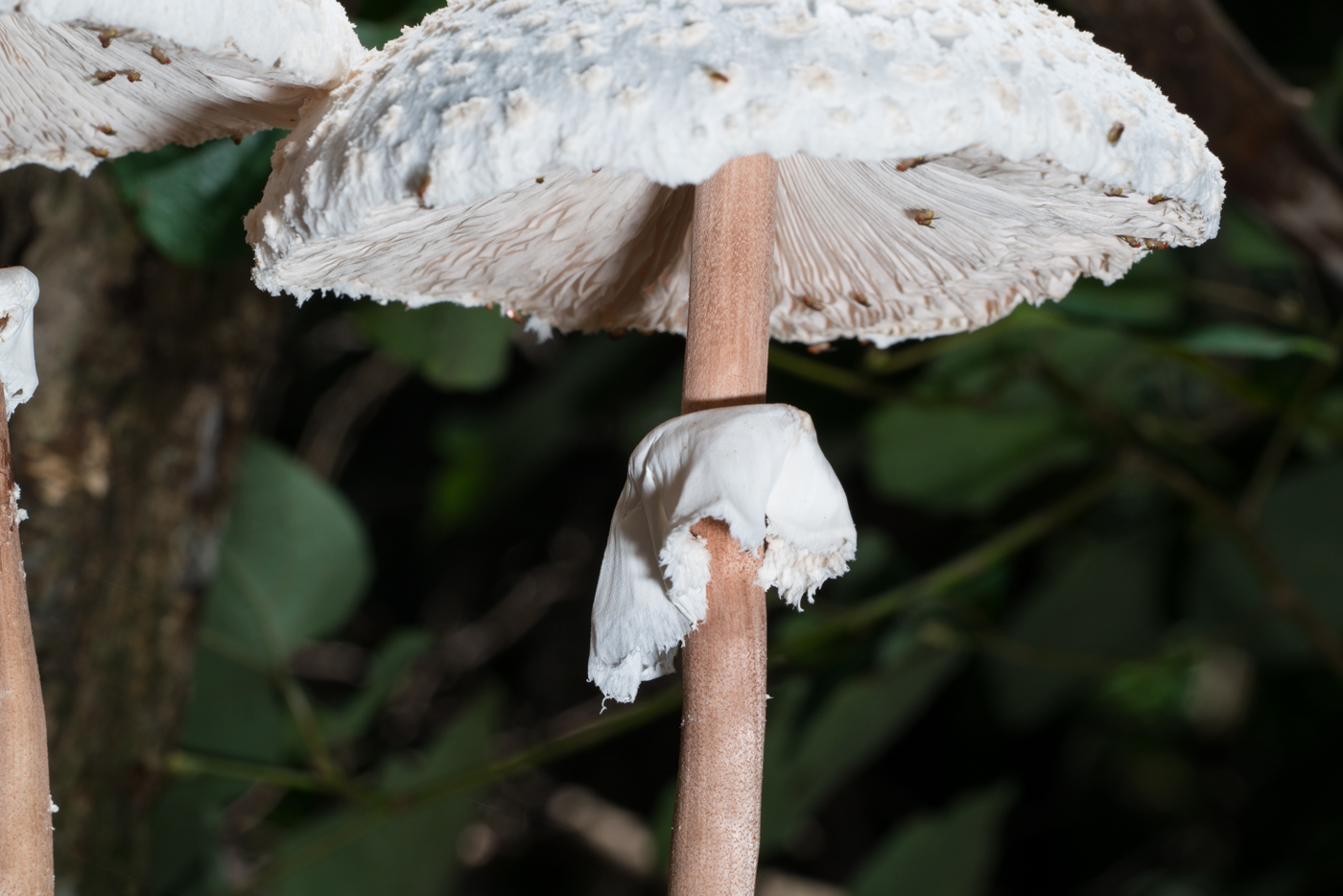 YDY05364.jpg