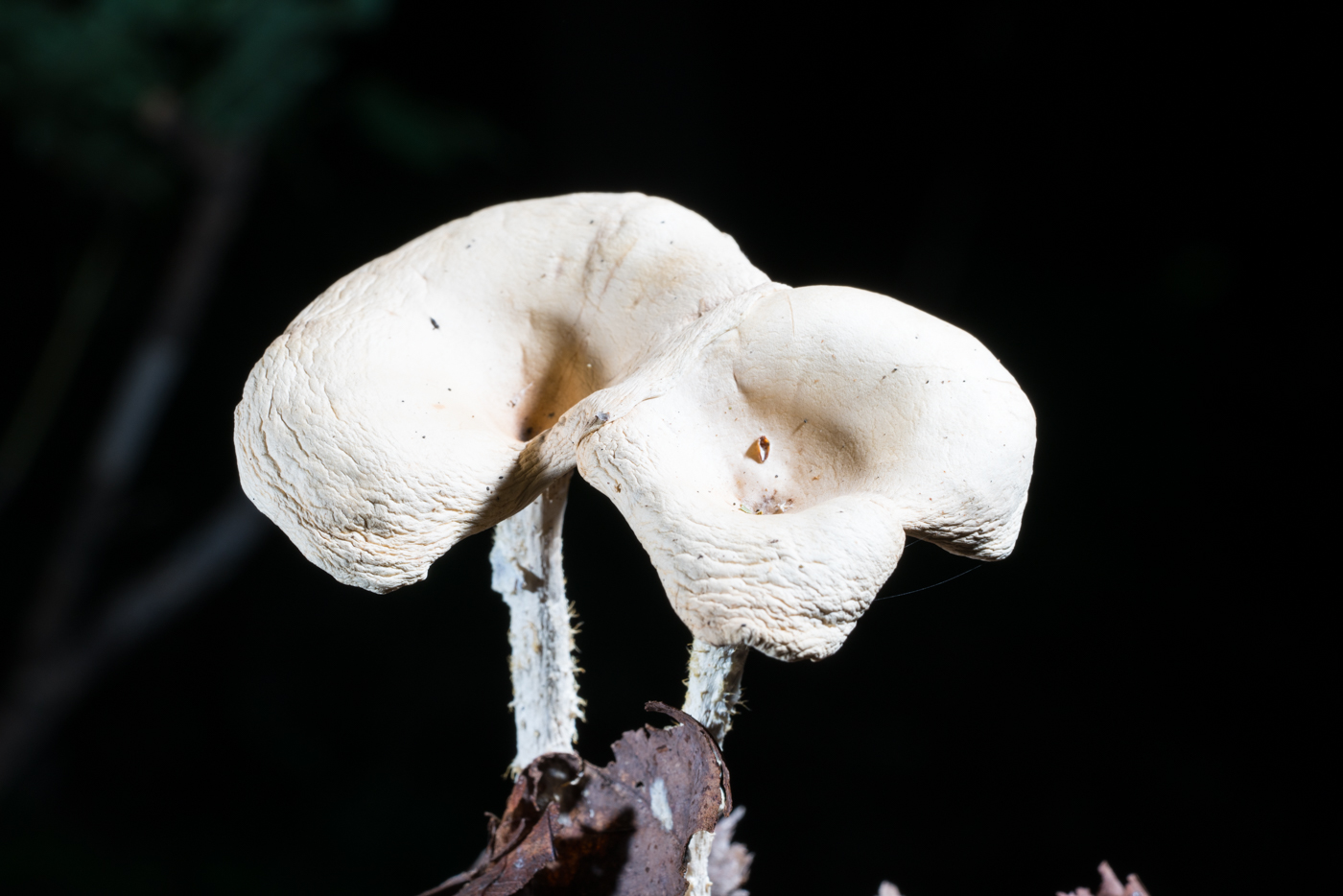 YDY05377.jpg