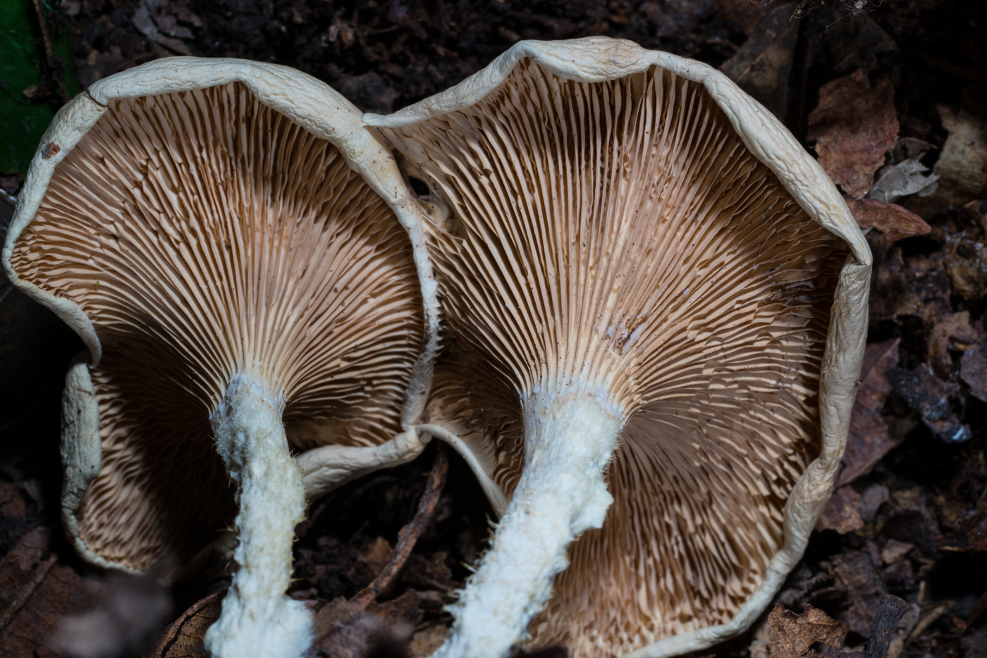 YDY05380.jpg