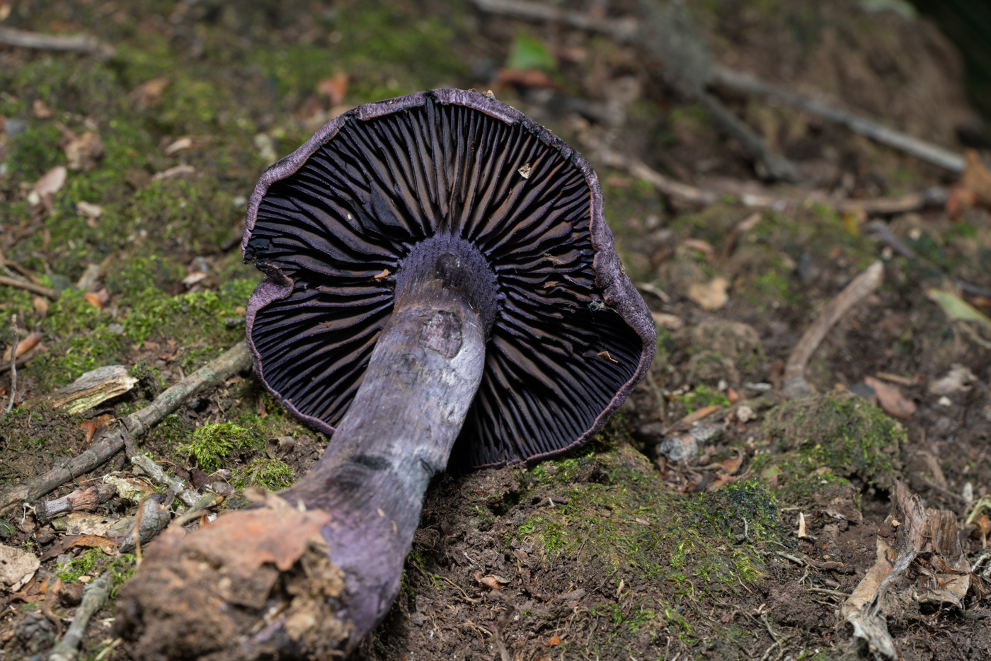 YDY03413.jpg