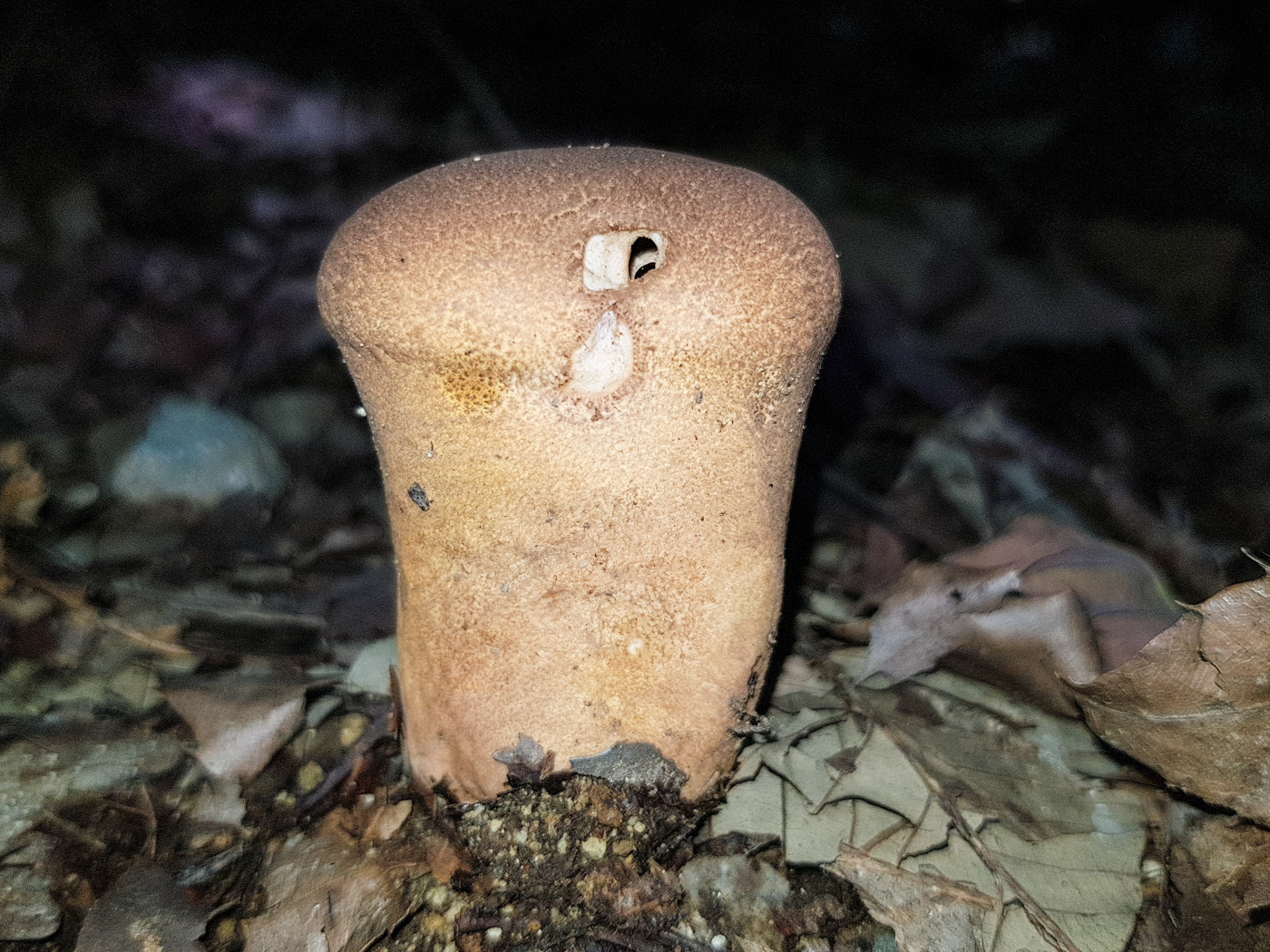 20170826_150110.jpg
