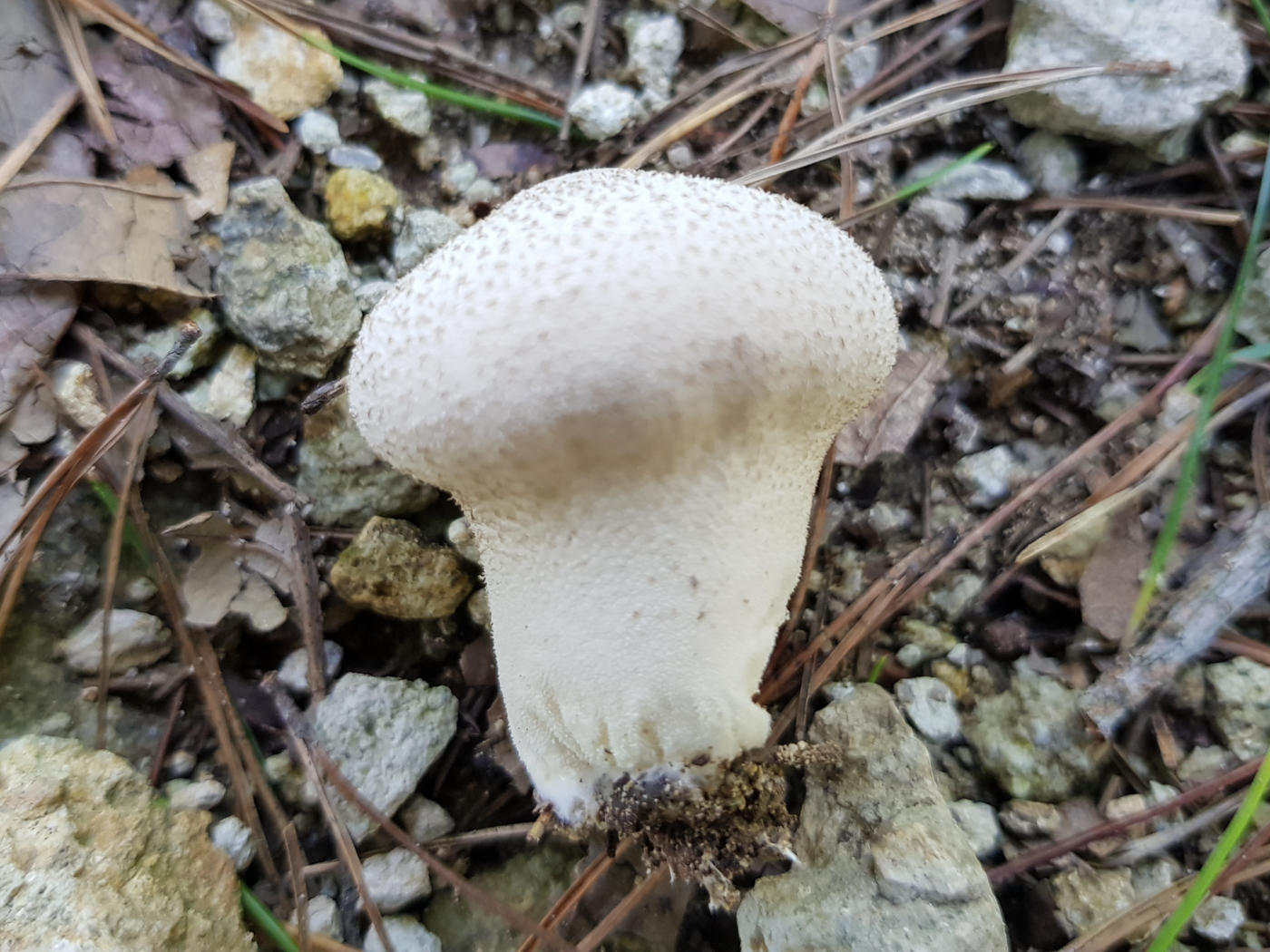 20170826_125838.jpg