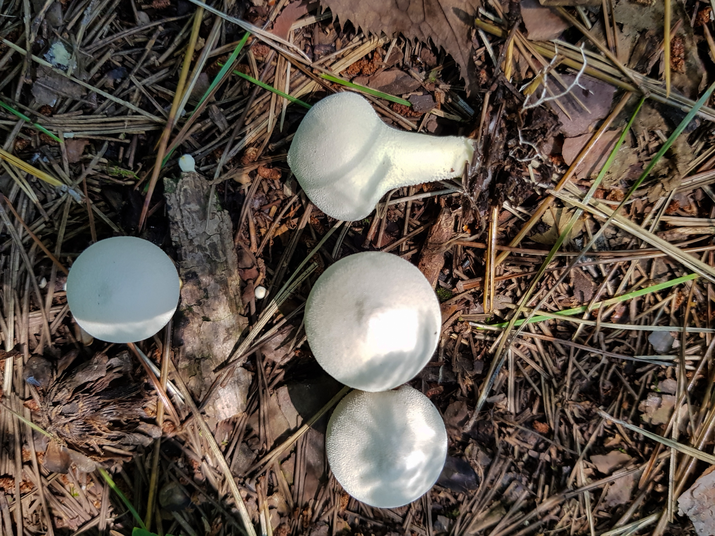 20170826_132559.jpg
