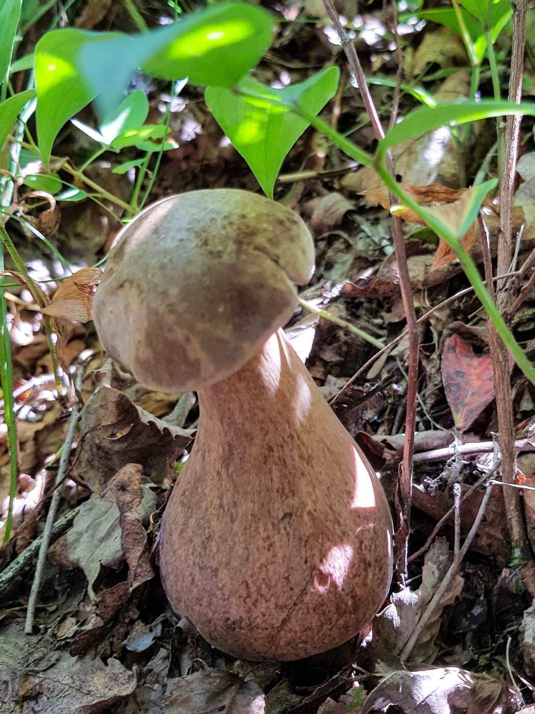20170826_140112.jpg