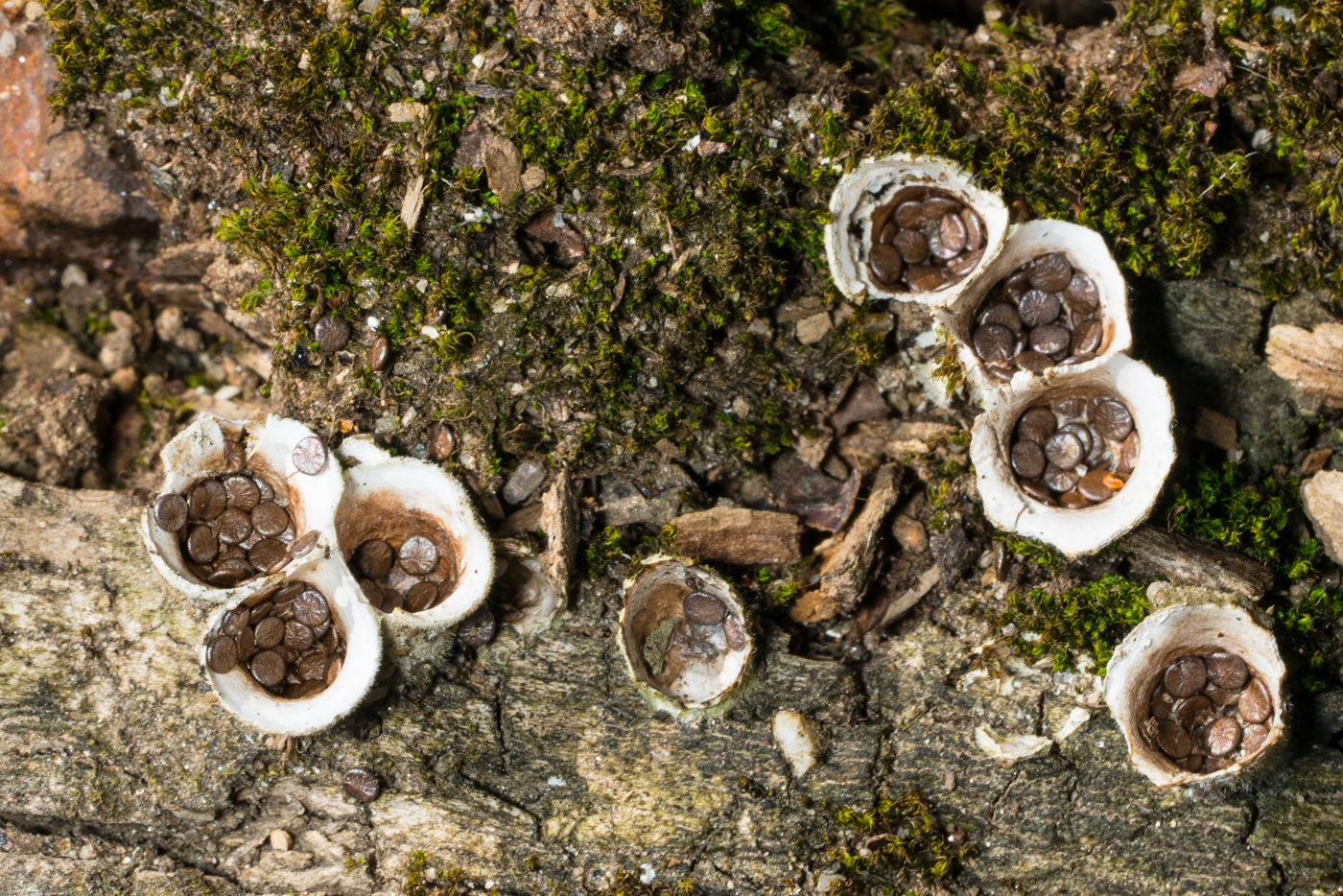 YDY06890.jpg