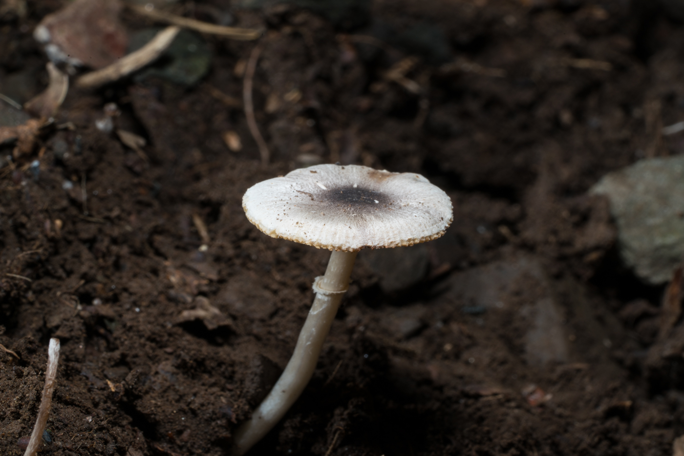 YDY03651.jpg