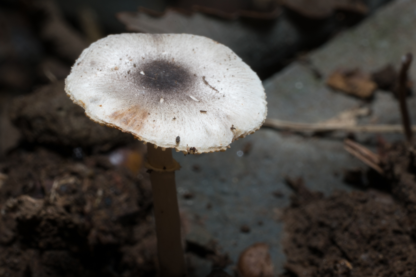 YDY03639.jpg