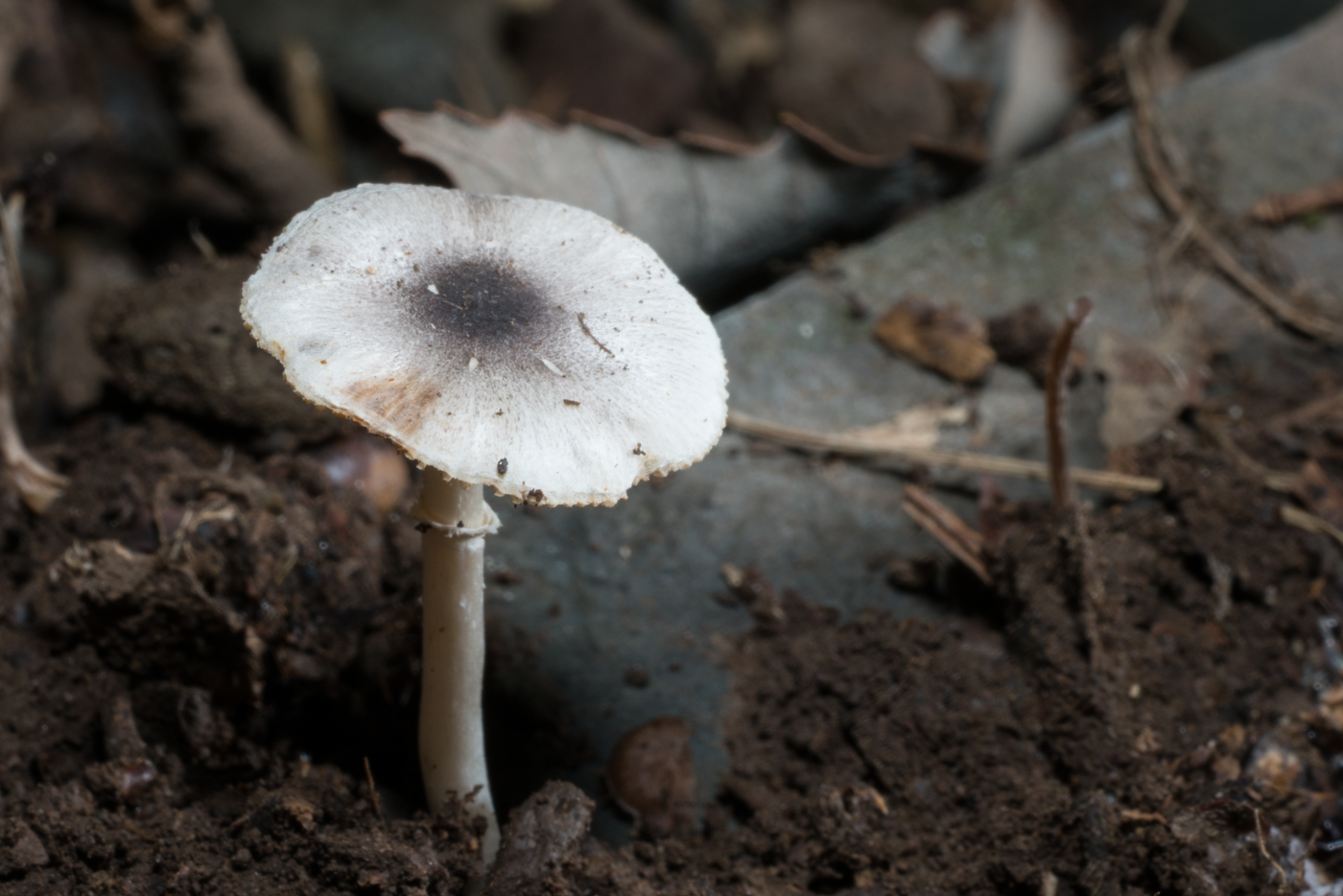 YDY03640.jpg