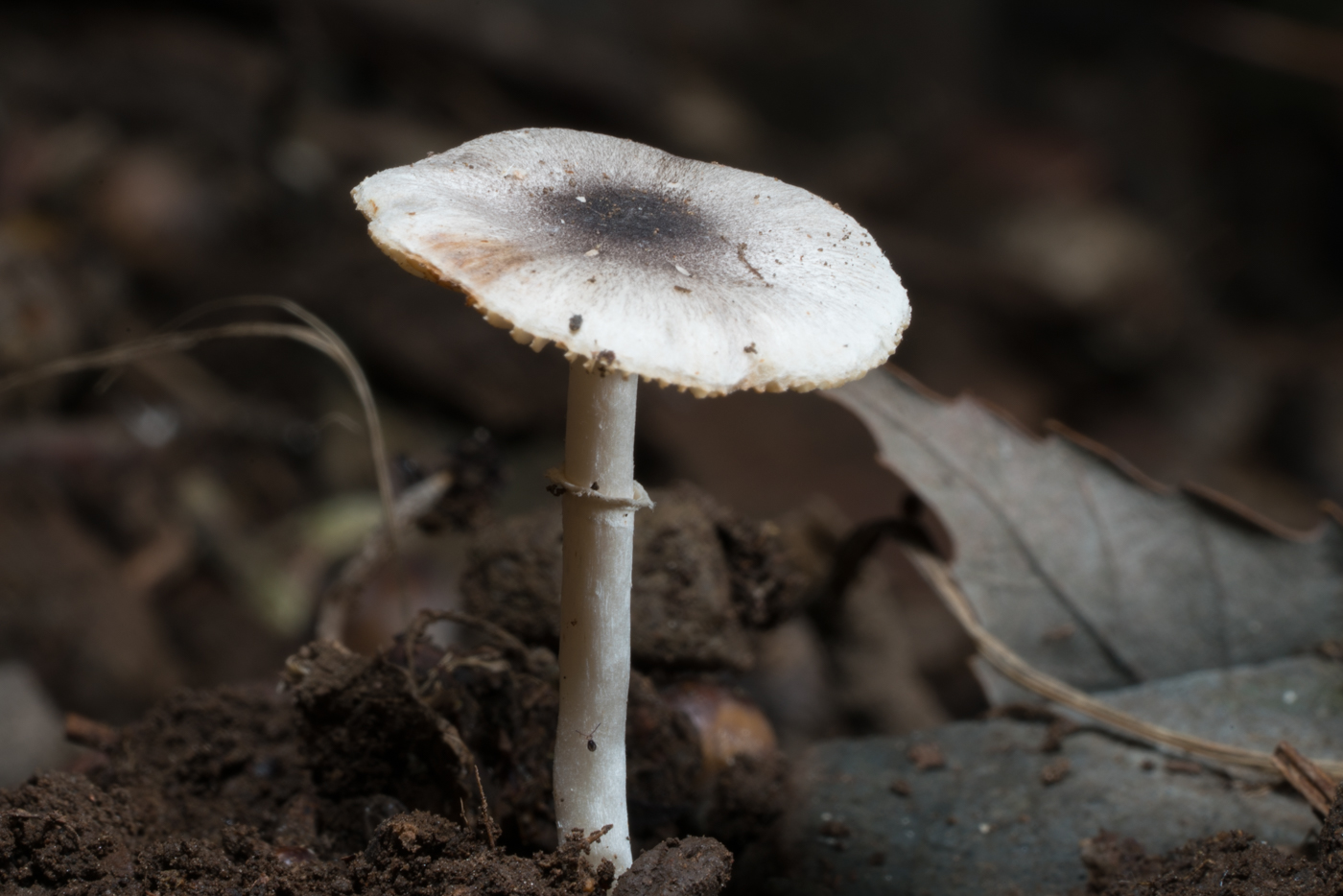 YDY03643.jpg