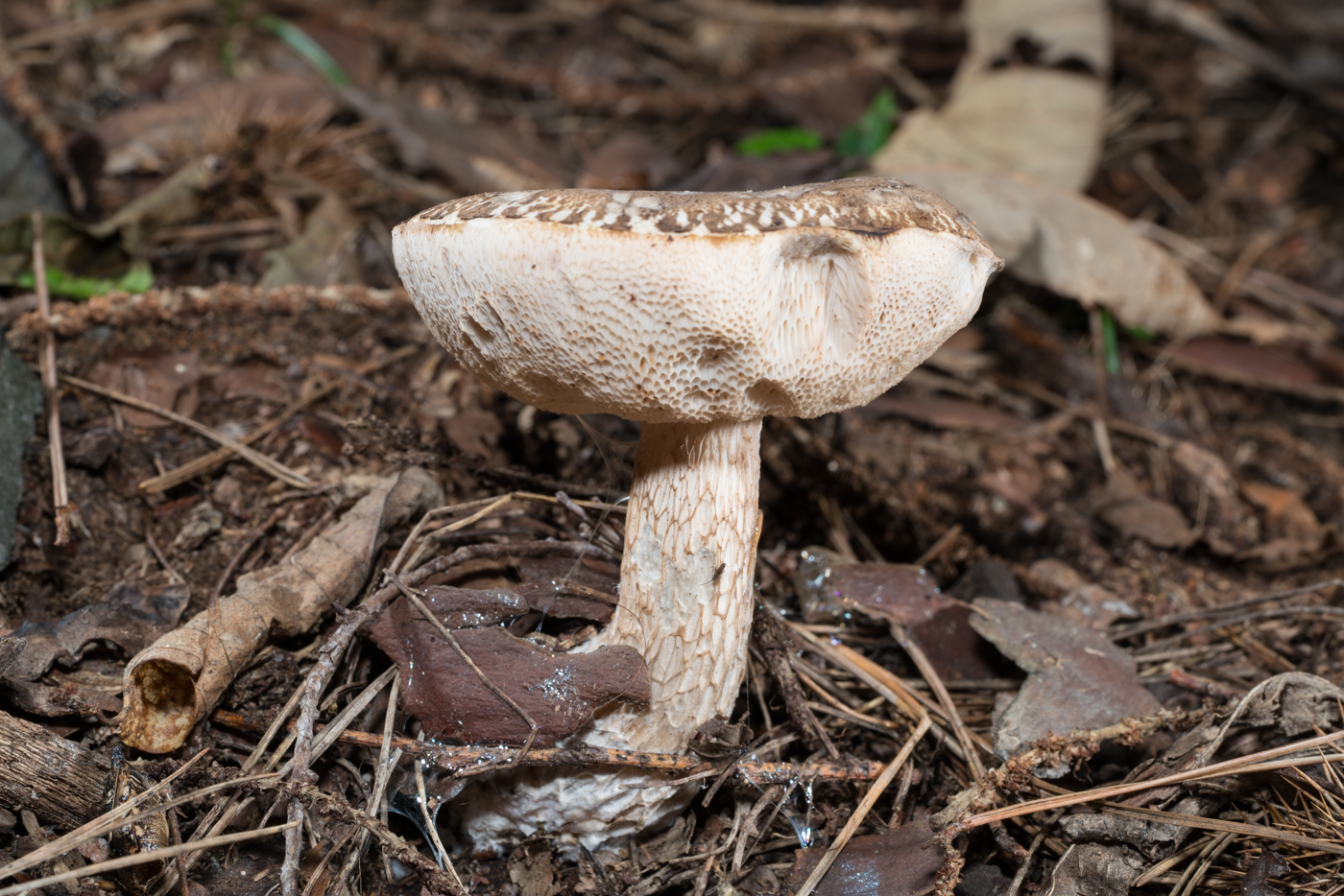 YDY03677.jpg