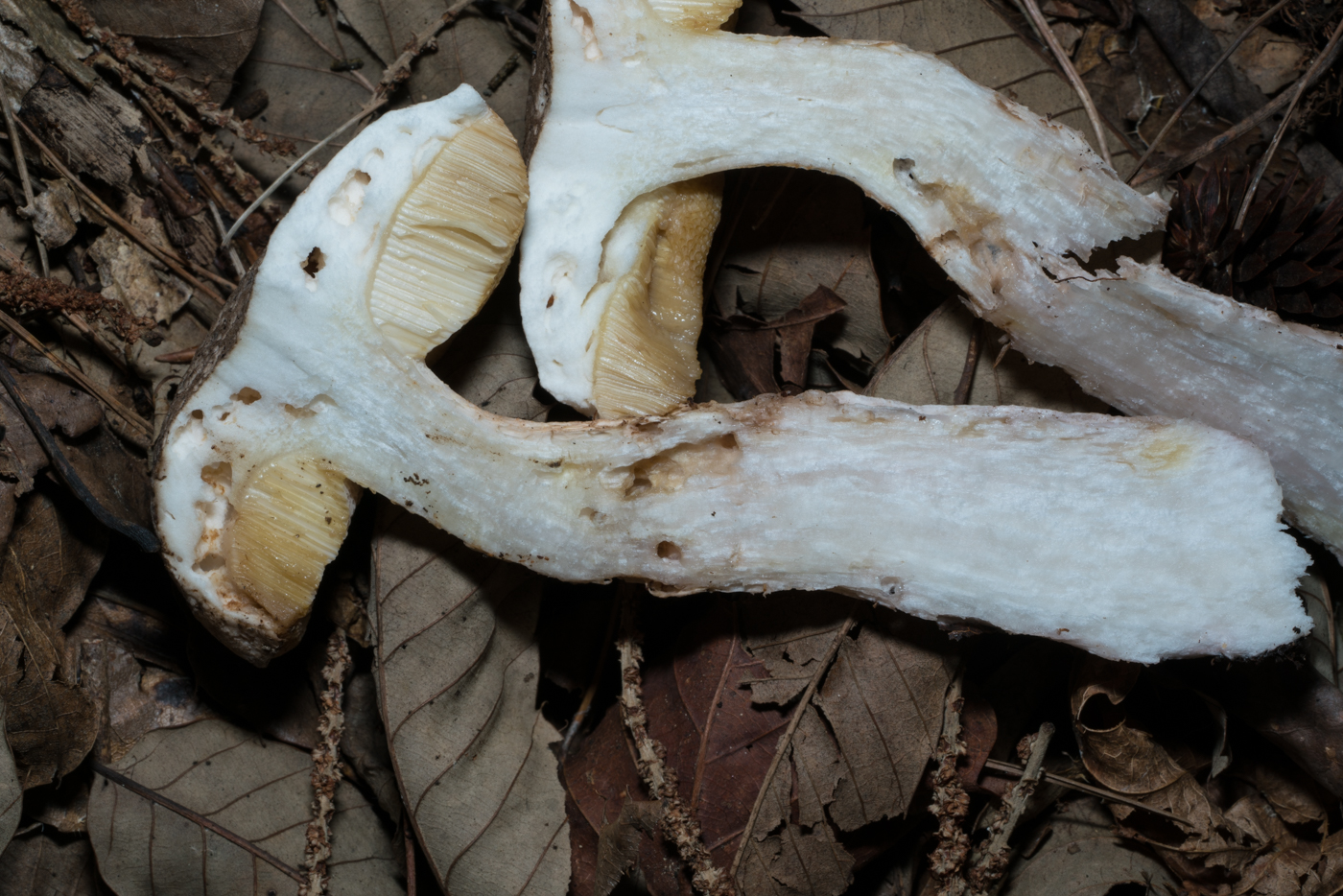 YDY03693.jpg