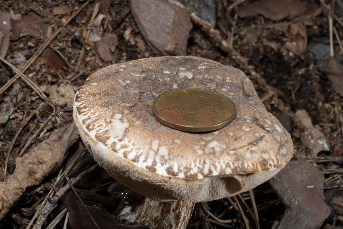 YDY03684.jpg