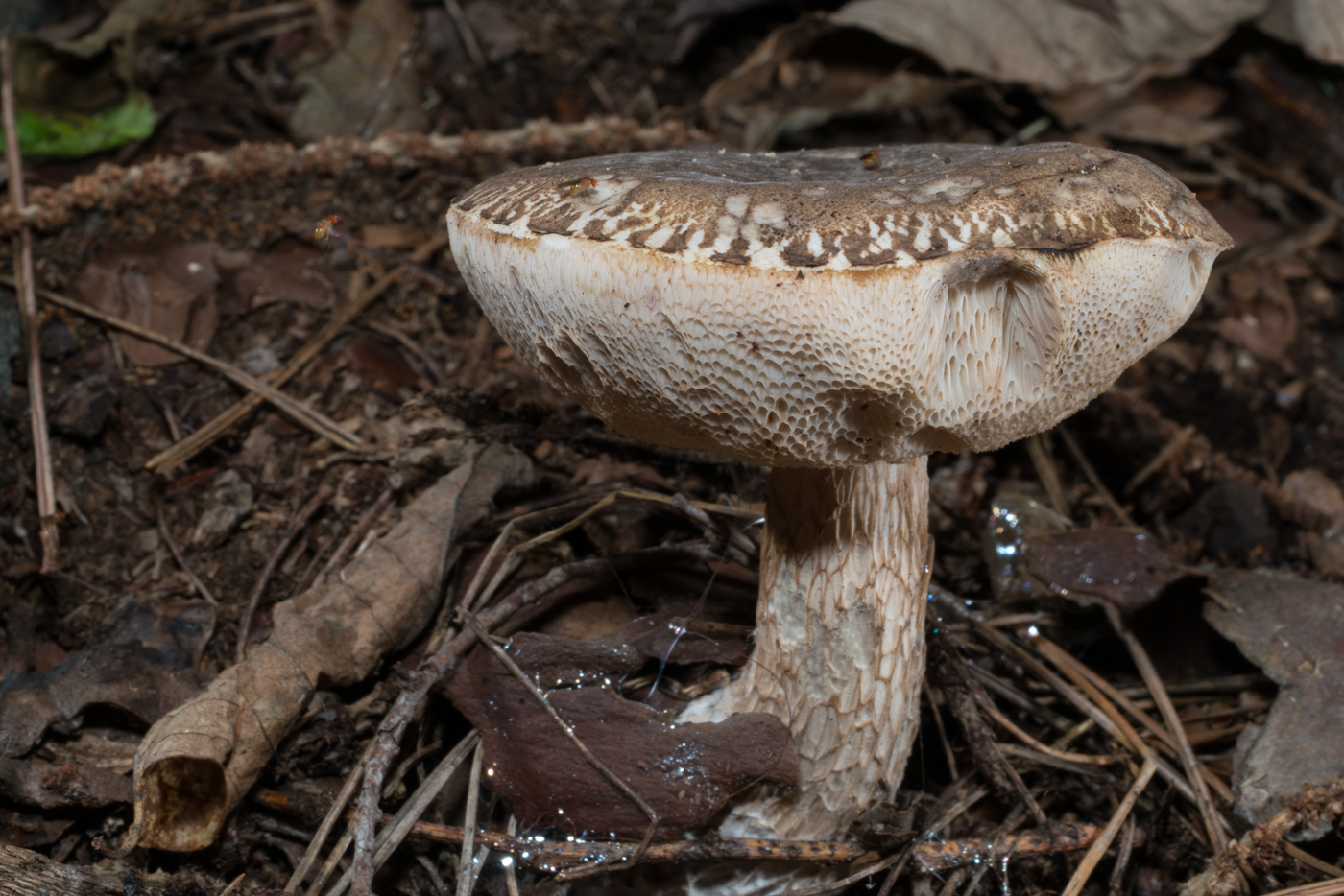YDY03683.jpg