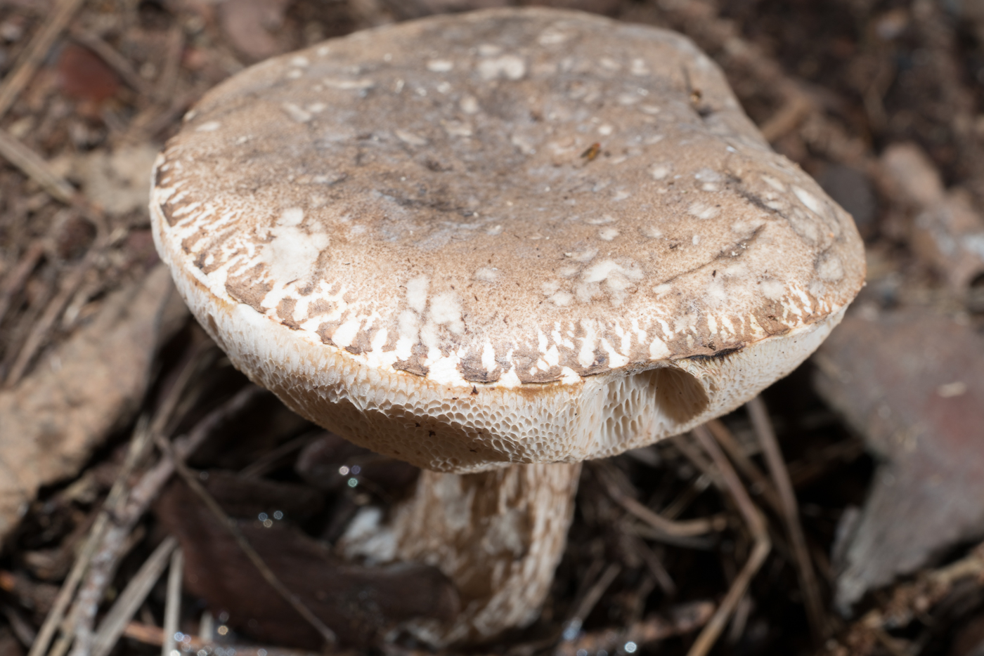 YDY03678.jpg