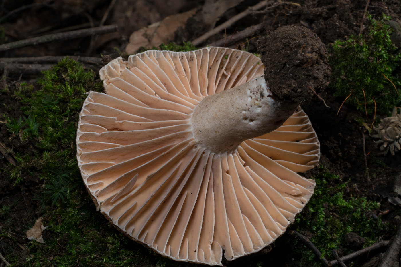 YDY03592.jpg
