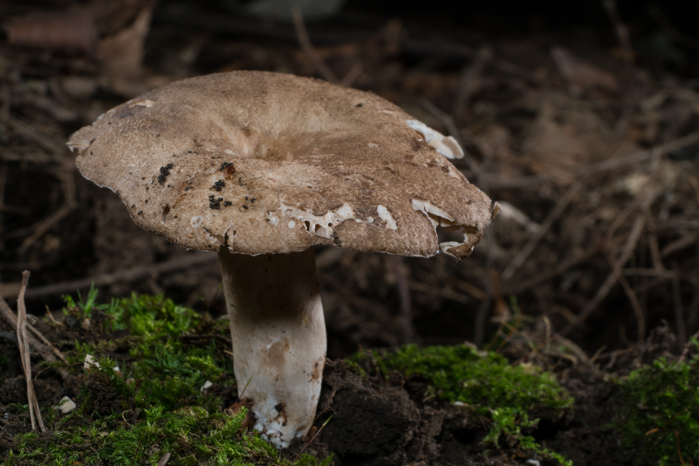 YDY03599.jpg