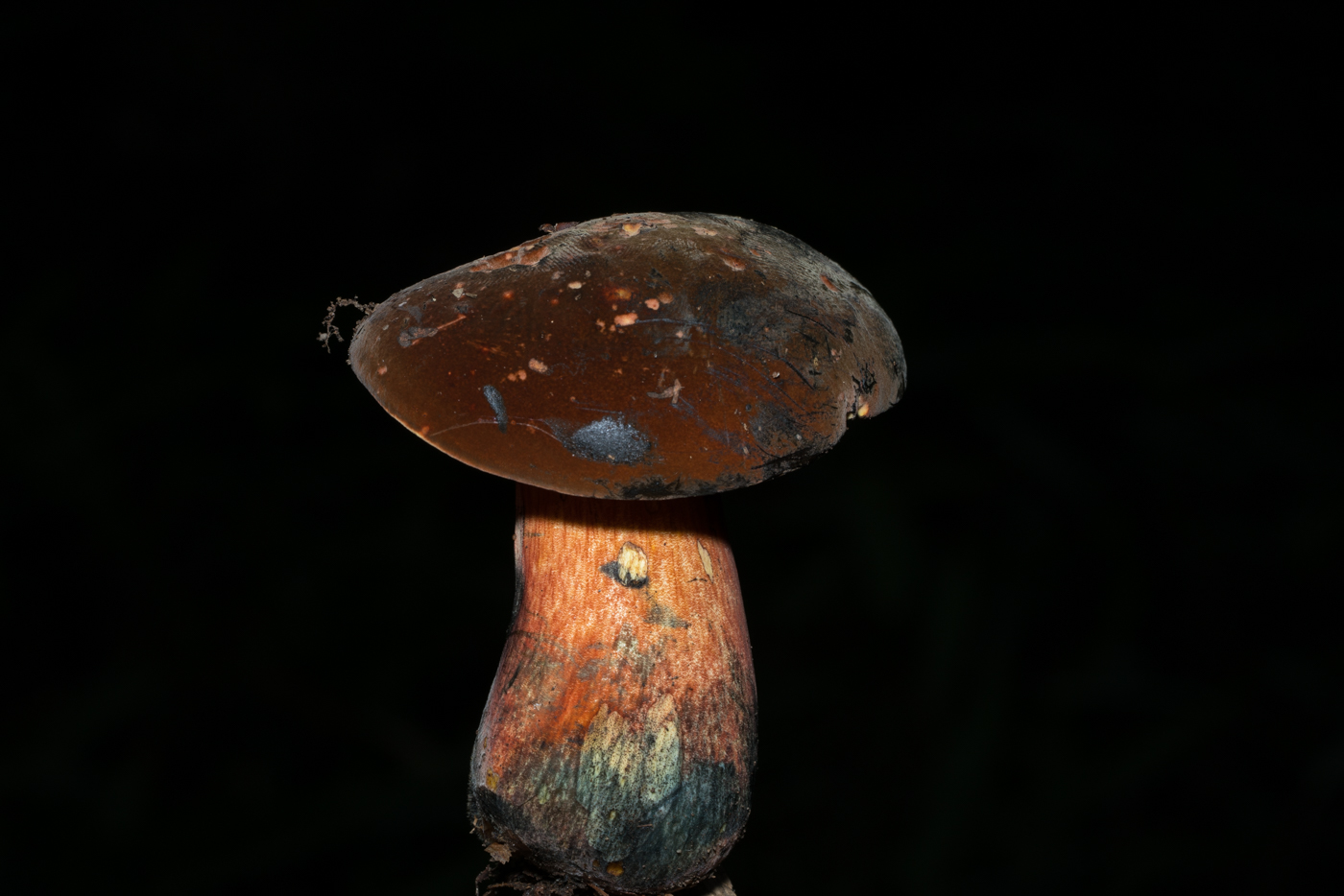YDY03722.jpg