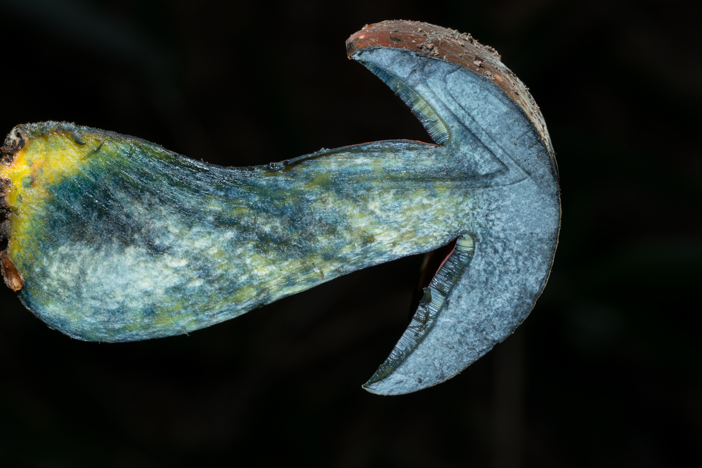 YDY03734.jpg