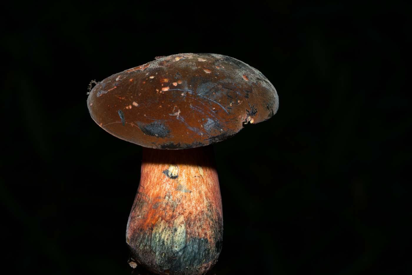 YDY03725.jpg